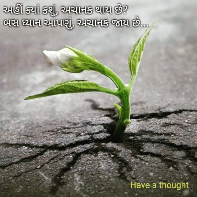 Gujarati Good Night by Manish Bambhva : 111079453