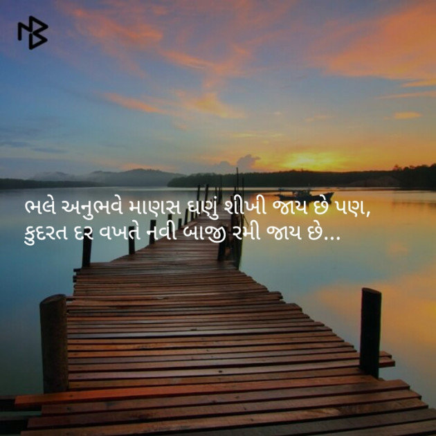 Gujarati Quotes by નિશાન પટેલ સ્વાગત : 111079698