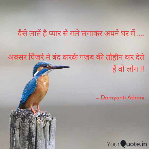 Gujarati Shayri by Damyanti Ashani : 111079882