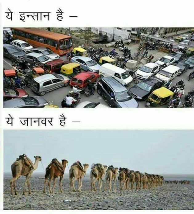 Gujarati Jokes by Hetal : 111079975