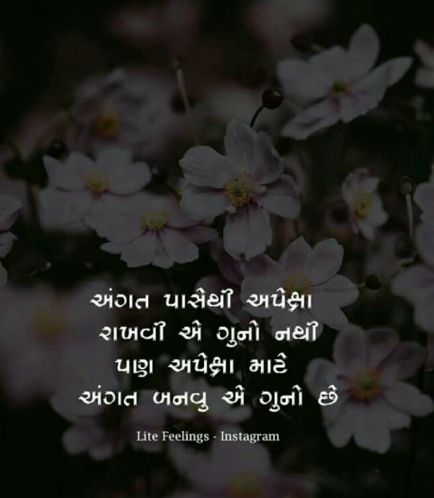 Gujarati Thought by Hemant Parmar : 111080139