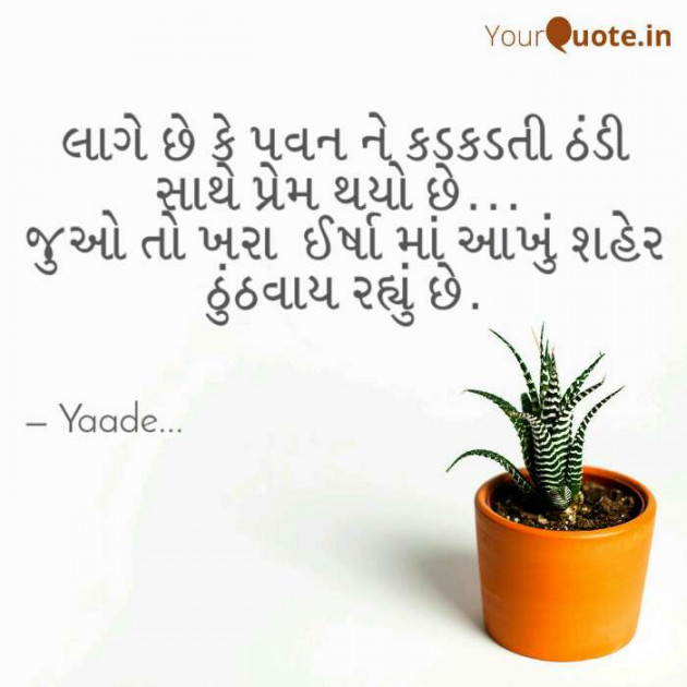 Gujarati Shayri by પારૂલ ઠક્કર... યાદ : 111080207