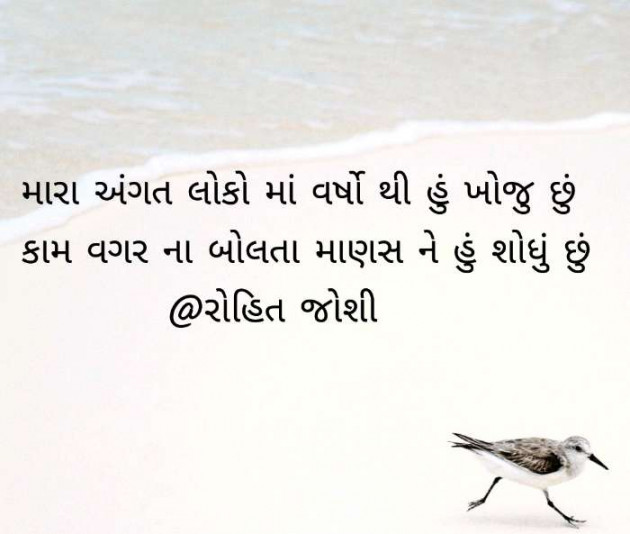 Gujarati Shayri by Joshi Rohit : 111080450