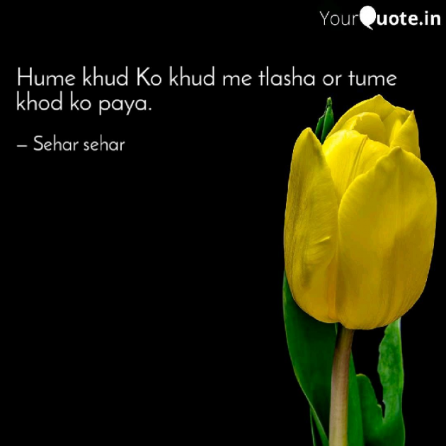 English Shayri by Sehar Sehar : 111080476