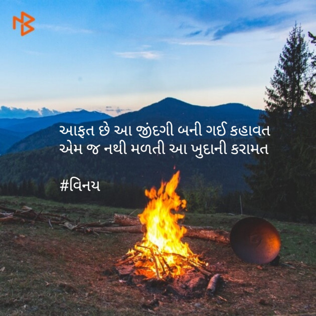 Gujarati Shayri by Patel Vinaykumar I : 111080487