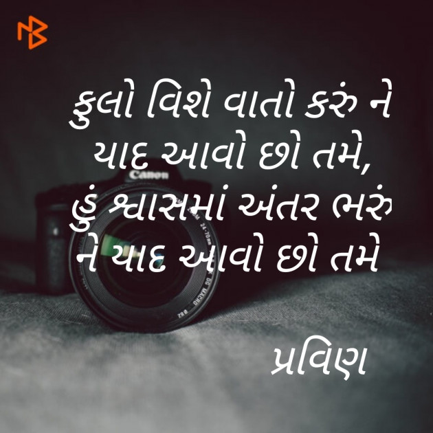 Gujarati Shayri by Pravin.. : 111080496