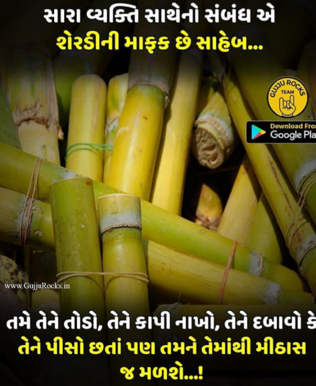 Gujarati Quotes by Arju Patel : 111080567