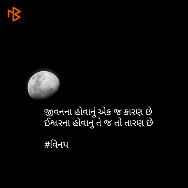 Gujarati Shayri by Patel Vinaykumar I : 111080616