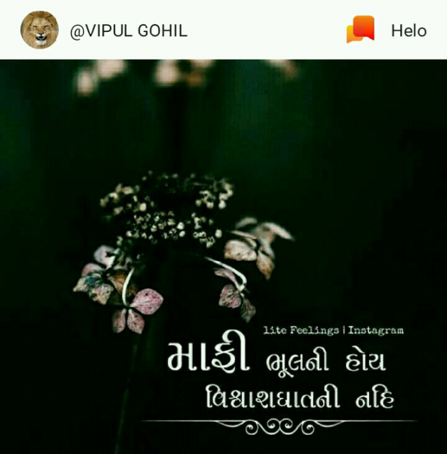 Gujarati Good Morning by Divya gohel : 111081096