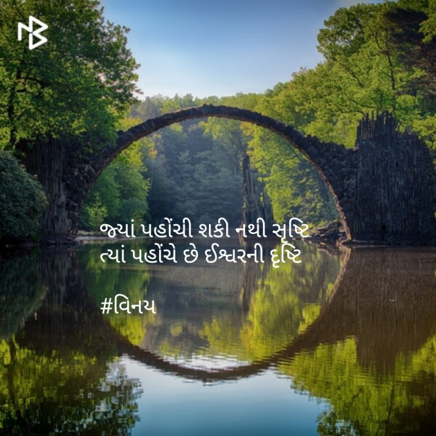 Gujarati Shayri by Patel Vinaykumar I : 111081205