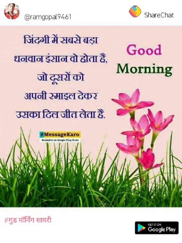 Gujarati Shayri by Parmar Akash : 111081232