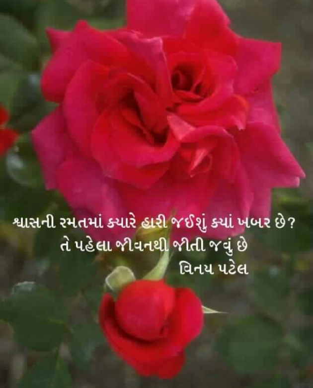 Gujarati Quotes by Patel Vinaykumar I : 111081511