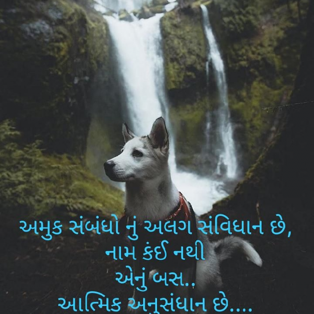 Gujarati Whatsapp-Status by Dr. Hina : 111081588