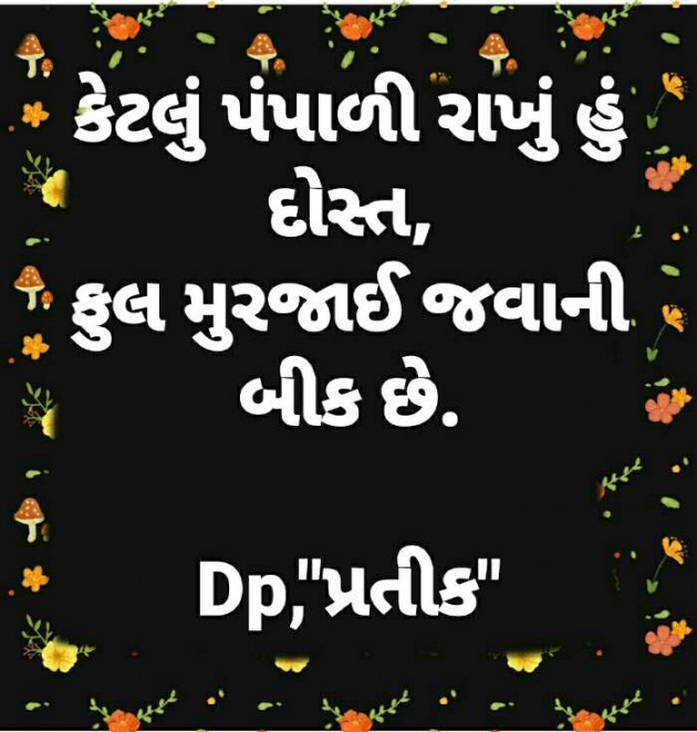 Gujarati Shayri by Dp, pratik : 111081958
