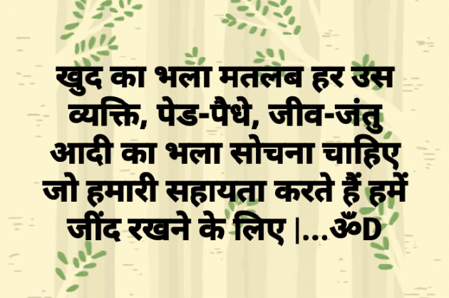 Hindi Quotes by Dhruti Dave : 111082203