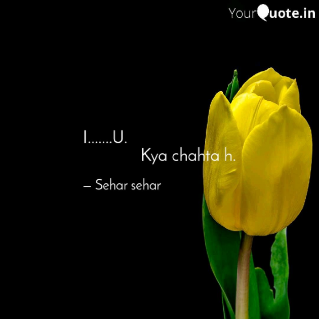 English Shayri by Sehar Sehar : 111082234