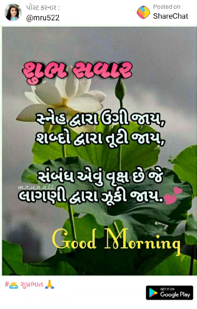 Gujarati Thought by sonal bhatt : 111082277