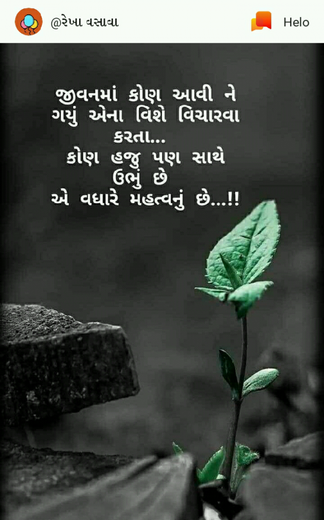 Gujarati Good Morning by Divya gohel : 111082338