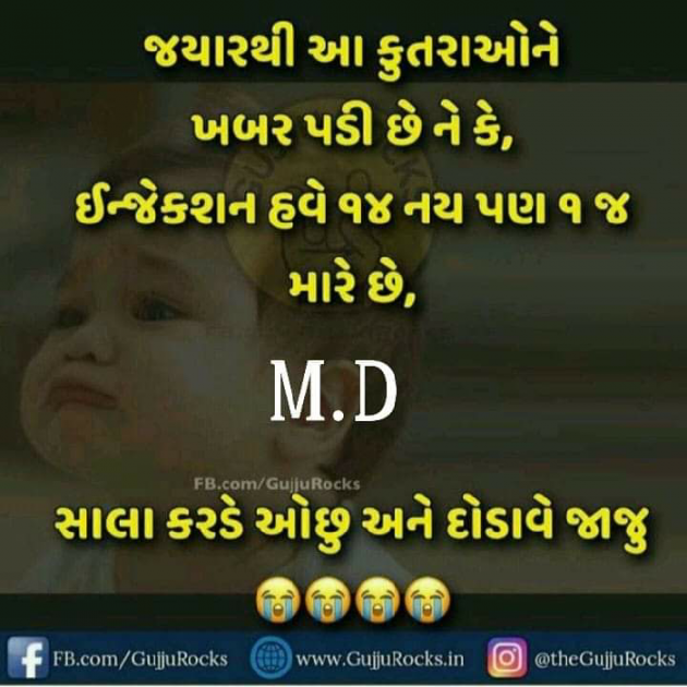 Gujarati Jokes by Hetal : 111082792