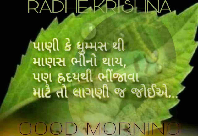 Gujarati Quotes by shah : 111083311
