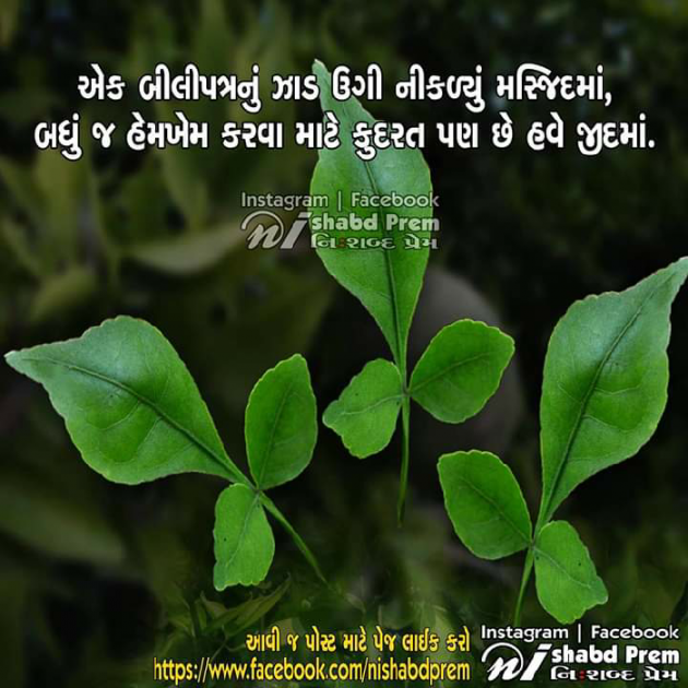 Gujarati Thought by Sarla Solanki : 111083558