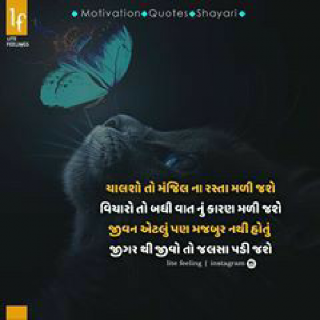 Gujarati Quotes by Punit Joshi : 111084018