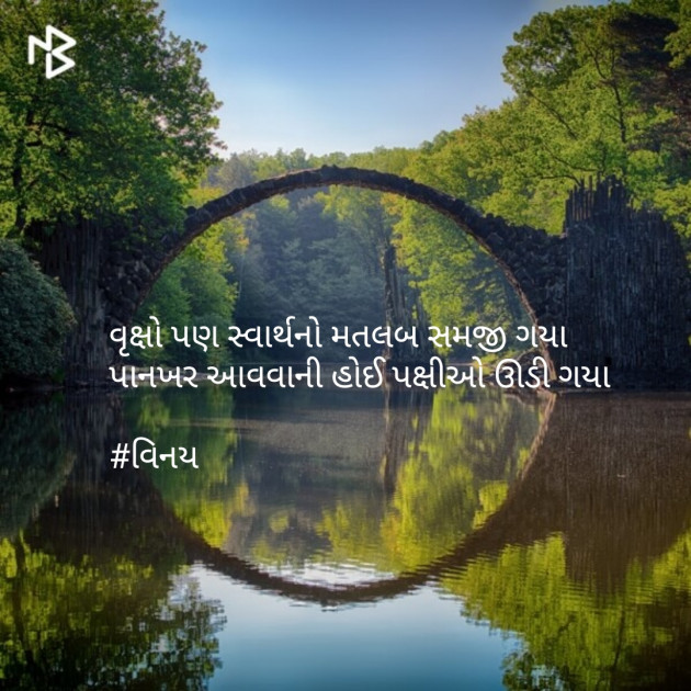 Gujarati Shayri by Patel Vinaykumar I : 111084030