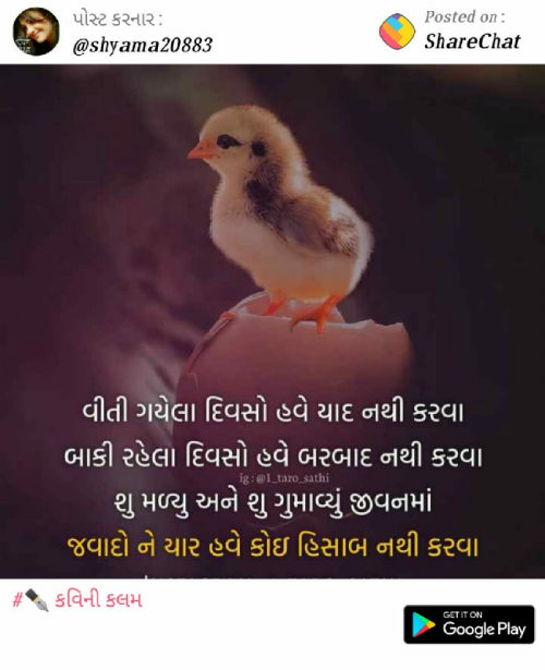 Post by Vishnusinh Parmar on 30-Jan-2019 09:27pm