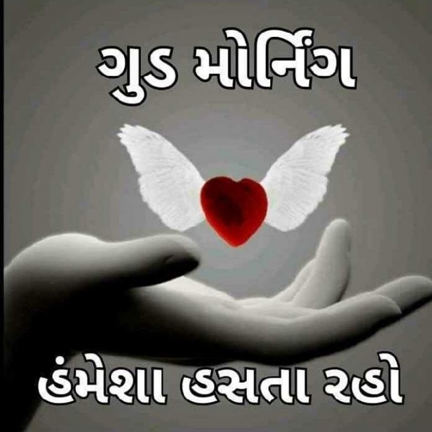 Gujarati Whatsapp-Status by Dharmendr Dav : 111084273