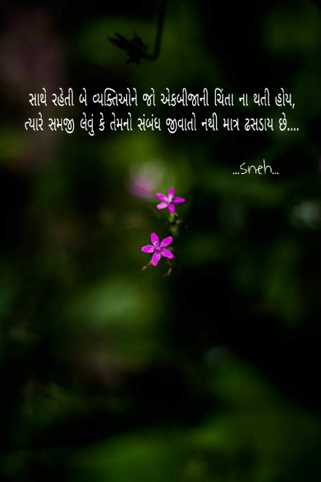 Gujarati Blog by Sneh Parmar : 111084348