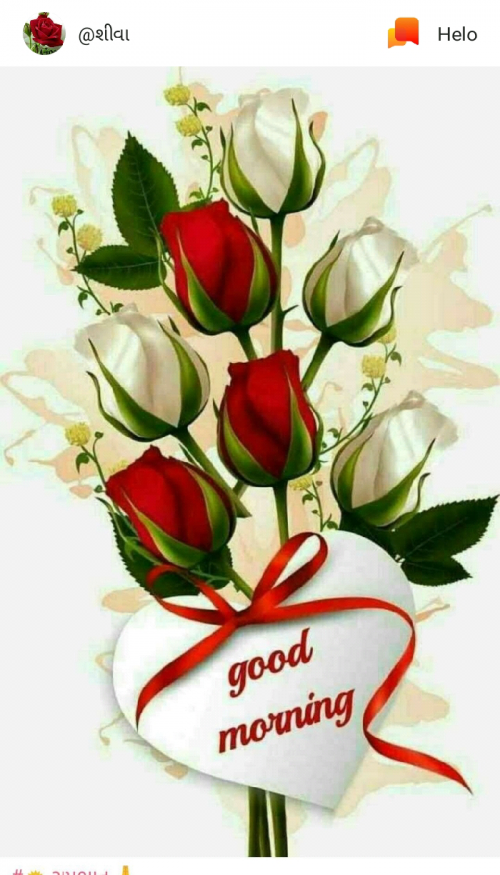 Post by Vijay D Sakliya on 31-Jan-2019 11:49am