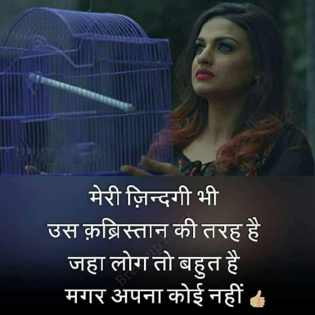 Gujarati Shayri by Bharat Maheshwari : 111084431