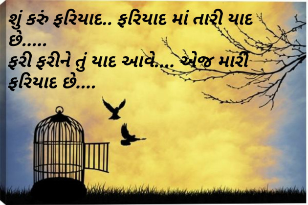 Gujarati Shayri by Pooja Jayswal : 111084482