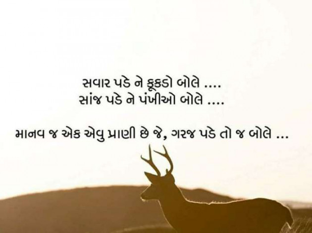 Gujarati Thought by Vishal Terwadiya : 111084494