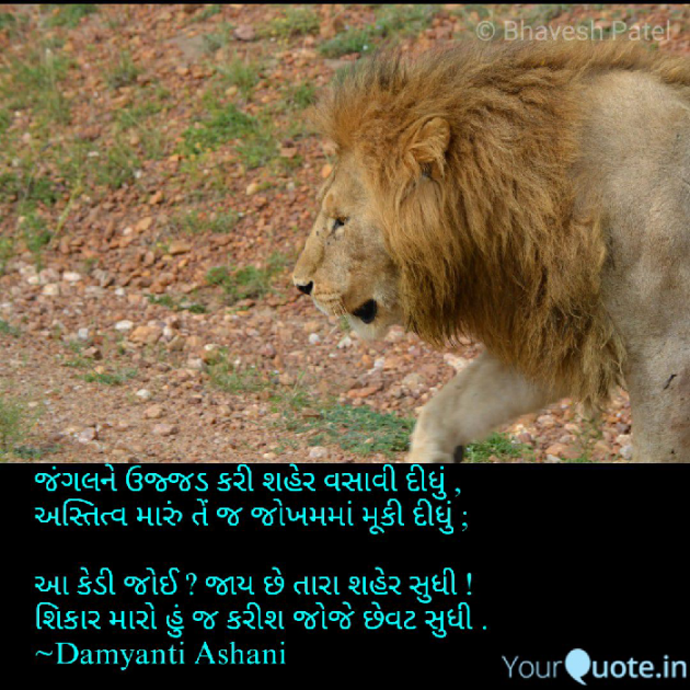 Gujarati Thought by Damyanti Ashani : 111084513