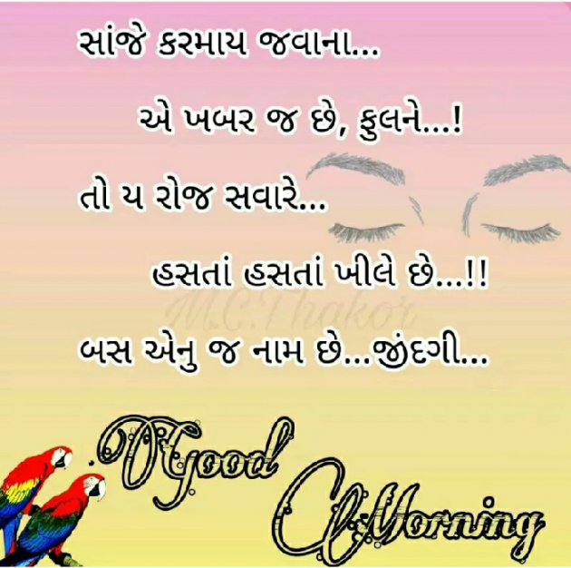 Gujarati Quotes by sanjay vaghani : 111084877