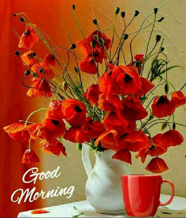 Gujarati Good Morning by Bipin Ahir : 111084926