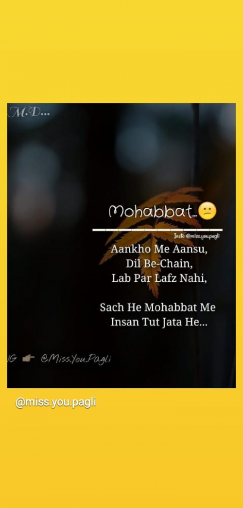 Post by Mayur Gadhvi on 01-Feb-2019 09:08pm