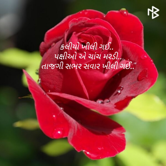 Gujarati Good Morning by Nisha Sindha : 111085916