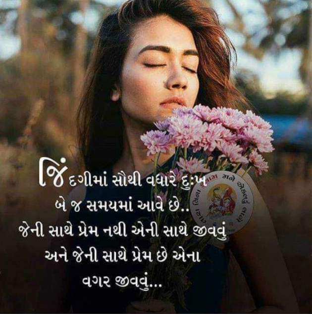 Gujarati Whatsapp-Status by Jadeja Kripalsinh : 111086022