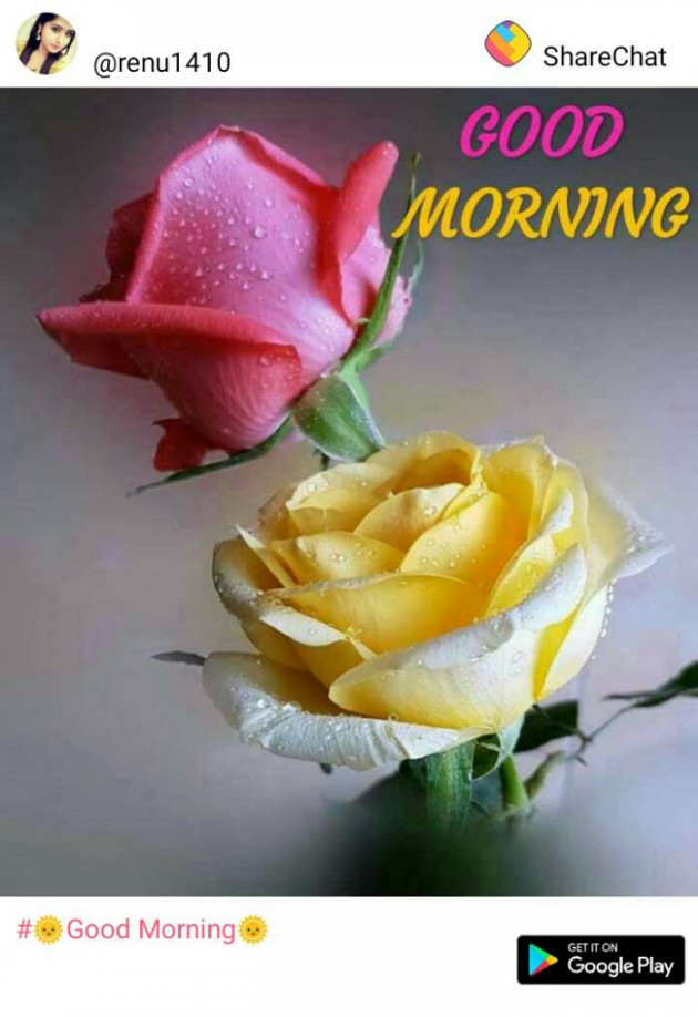 Marathi Good Morning by Manoj Solanke : 111086341