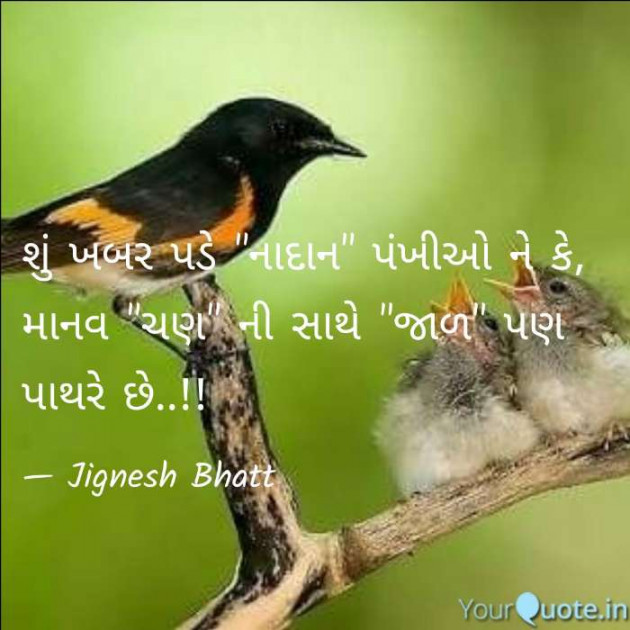 Gujarati Blog by JIGNESH BHATT : 111086407