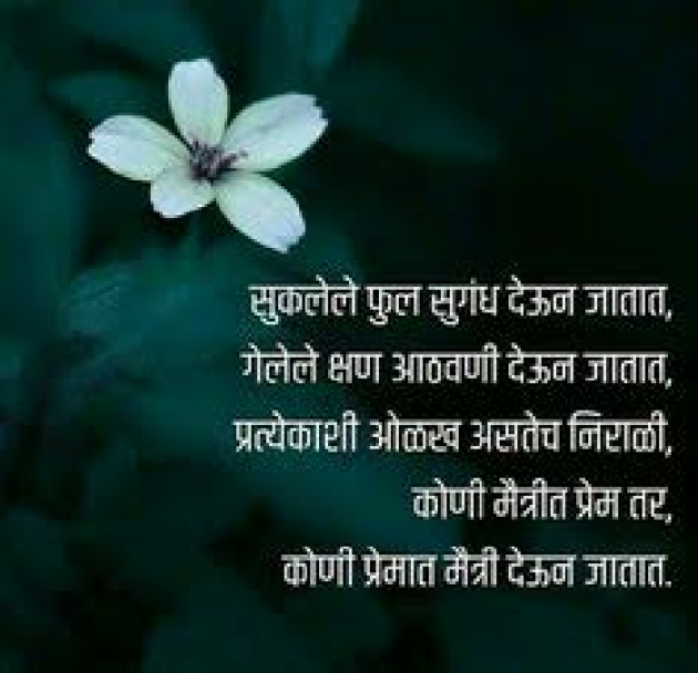 Marathi Good Evening by Amol Gaikar : 111086900