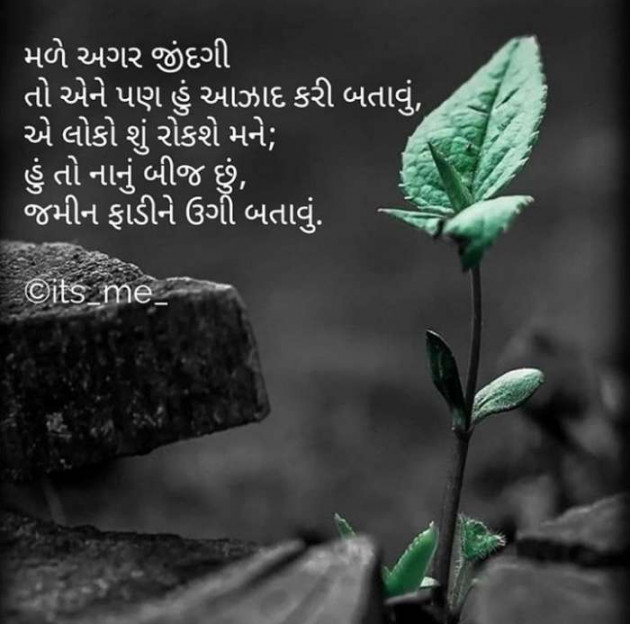 Gujarati Good Morning by Nai Jignesh : 111087121