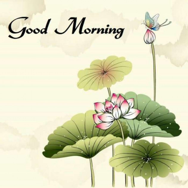 English Good Morning by pankaj jain : 111087696