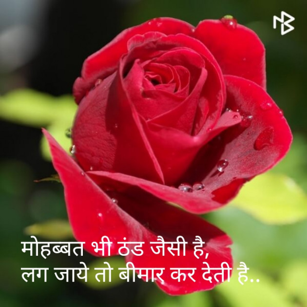 Hindi Shayri by Sonu Kumar : 111087776