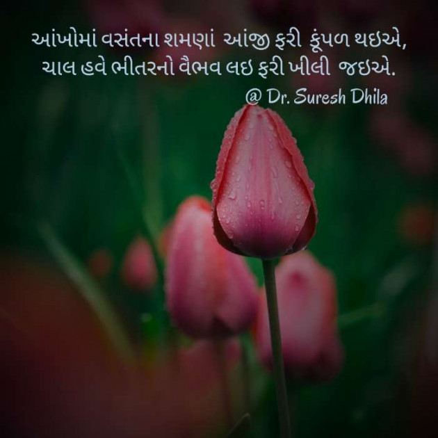 Gujarati Thought by Dr.Suresh Dhila : 111088188