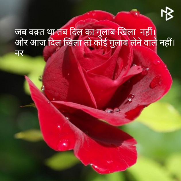 Gujarati Shayri by Naranji Jadeja : 111088355