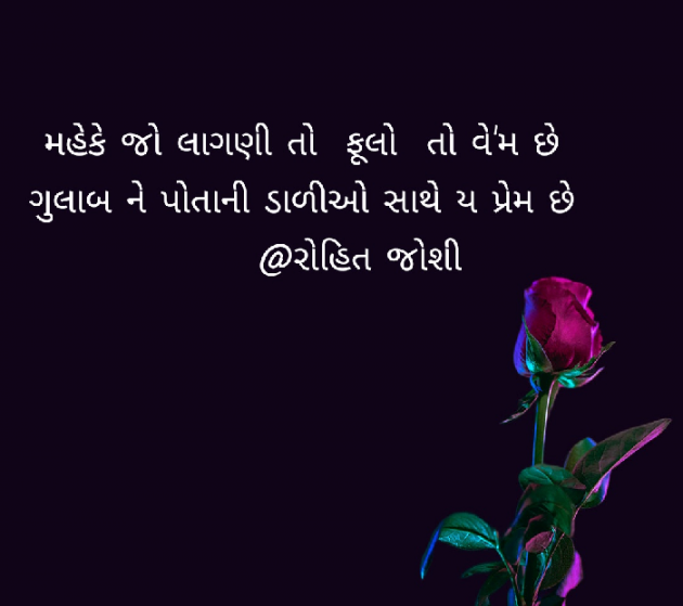 Gujarati Shayri by Joshi Rohit : 111088363