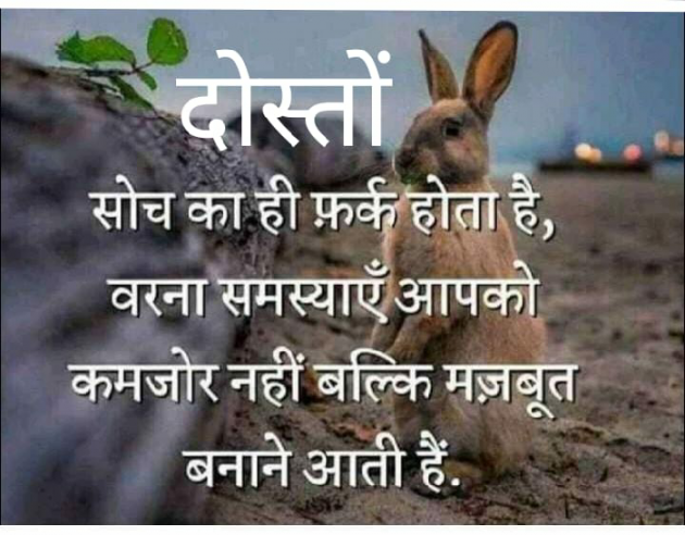 Hindi Quotes by Golu Kumar Gupta : 111088531